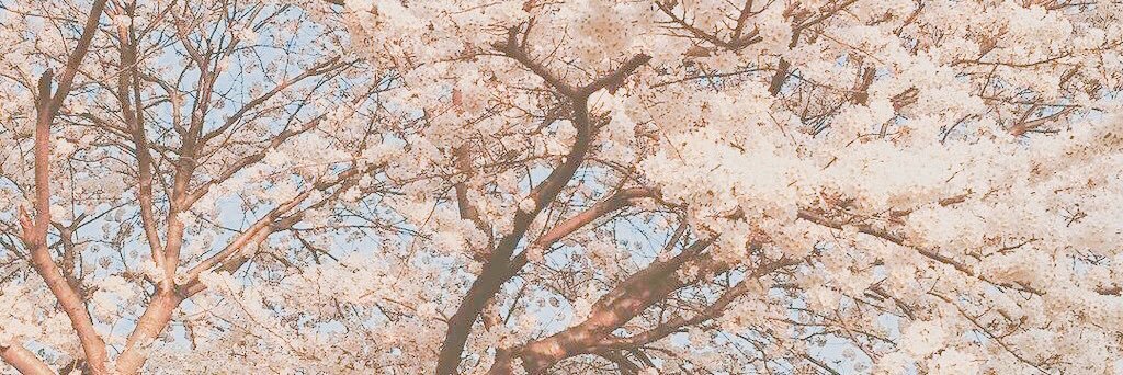 bom_berry88's profile banner image