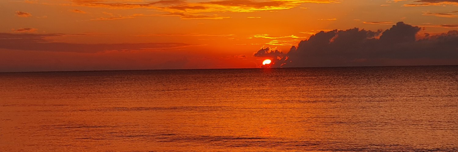 Pimster's profile banner image