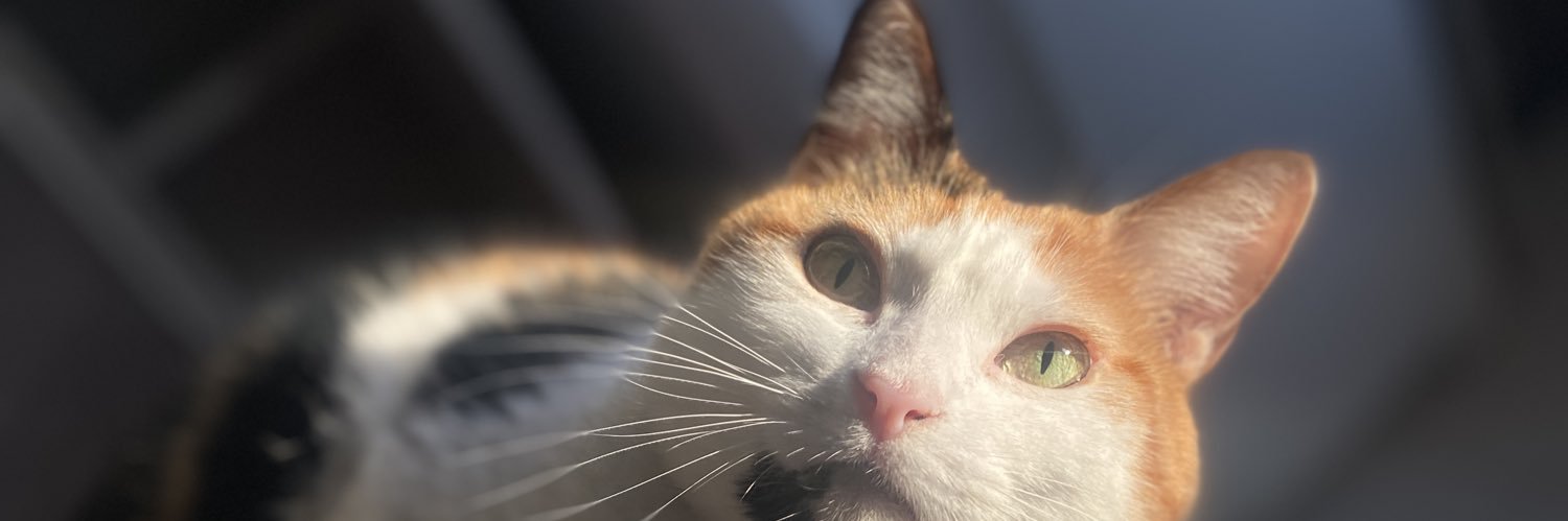 Stonehennge's profile banner image