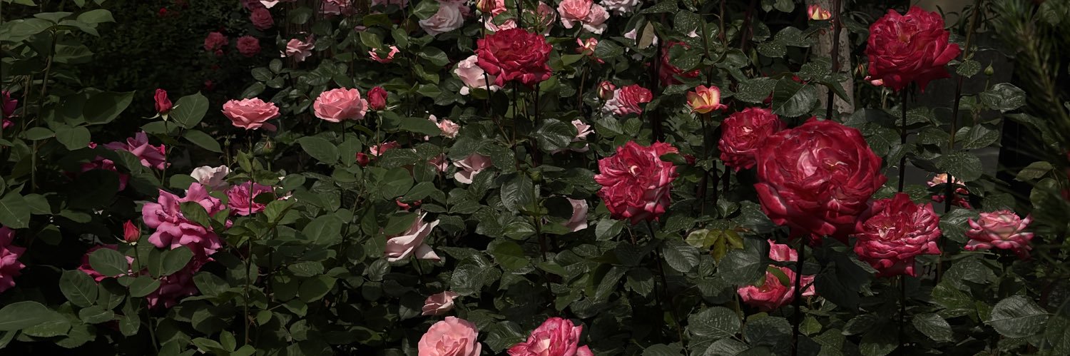 H_sna10's profile banner image