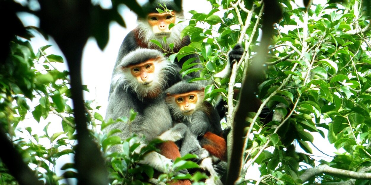 Jonathan B Clayton banner