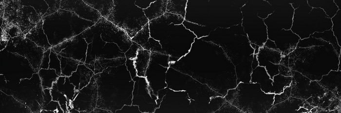 Why Females Live Longer banner