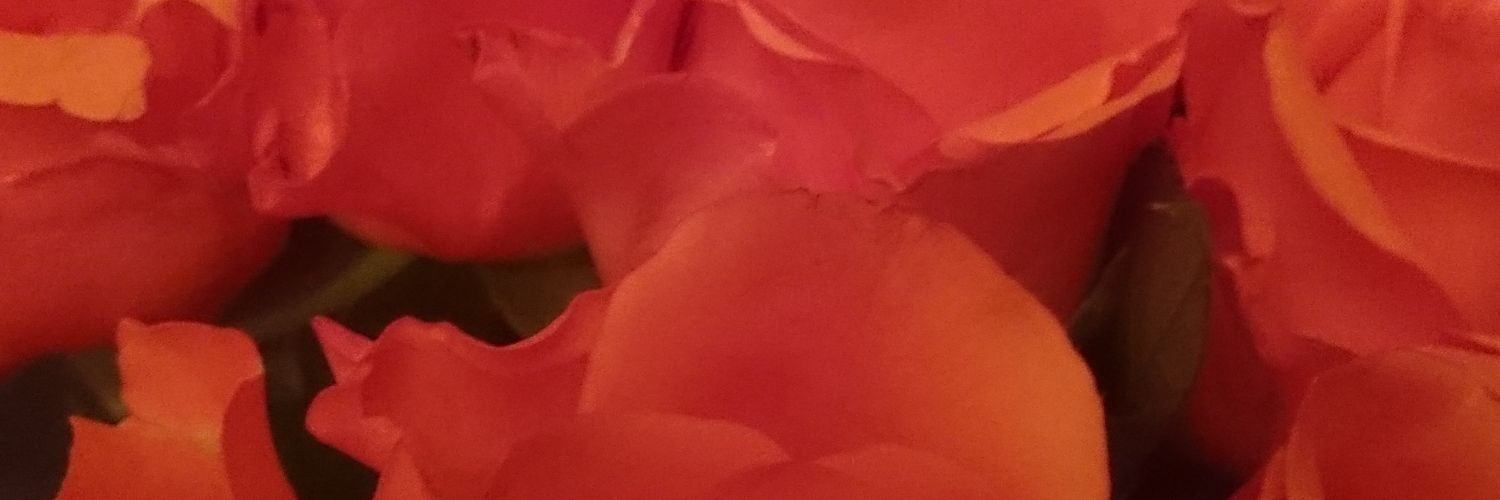 Mackmors's profile banner image