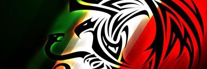 ING. FELIPE CONTRERAS banner