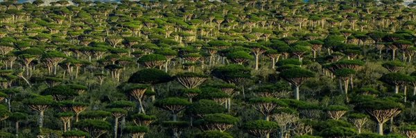 tvs141 Profile Banner