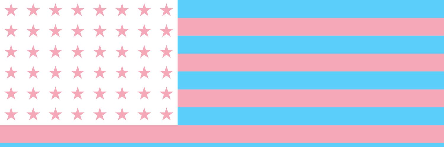 Emotional Support Femboy's banner