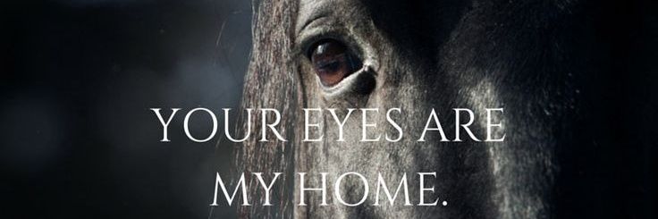 Yolanda Bouchard banner