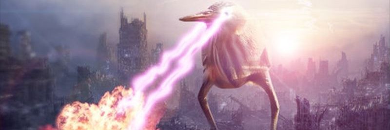 t0ra4_'s profile banner image