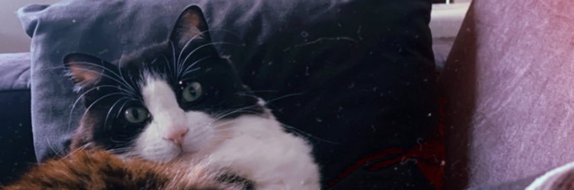 MaferLopess's profile banner image