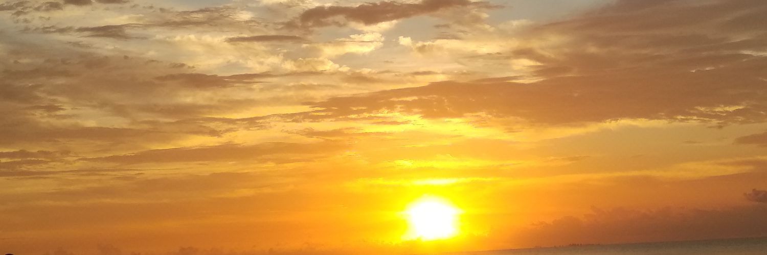 mut_Mimosa's profile banner image