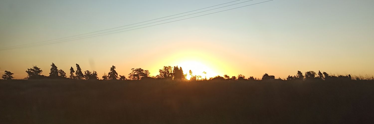 EmiliaaSuarez's profile banner image