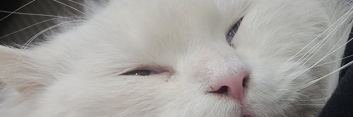 Ibi_Mon's profile banner image