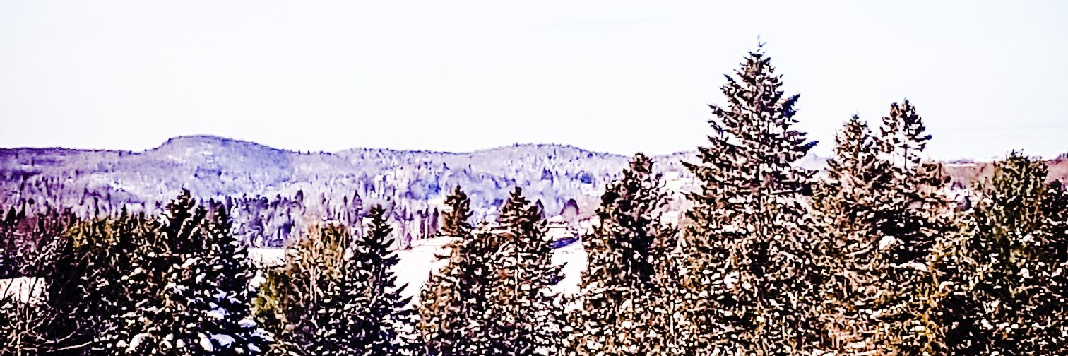 mkajfasz's profile banner image