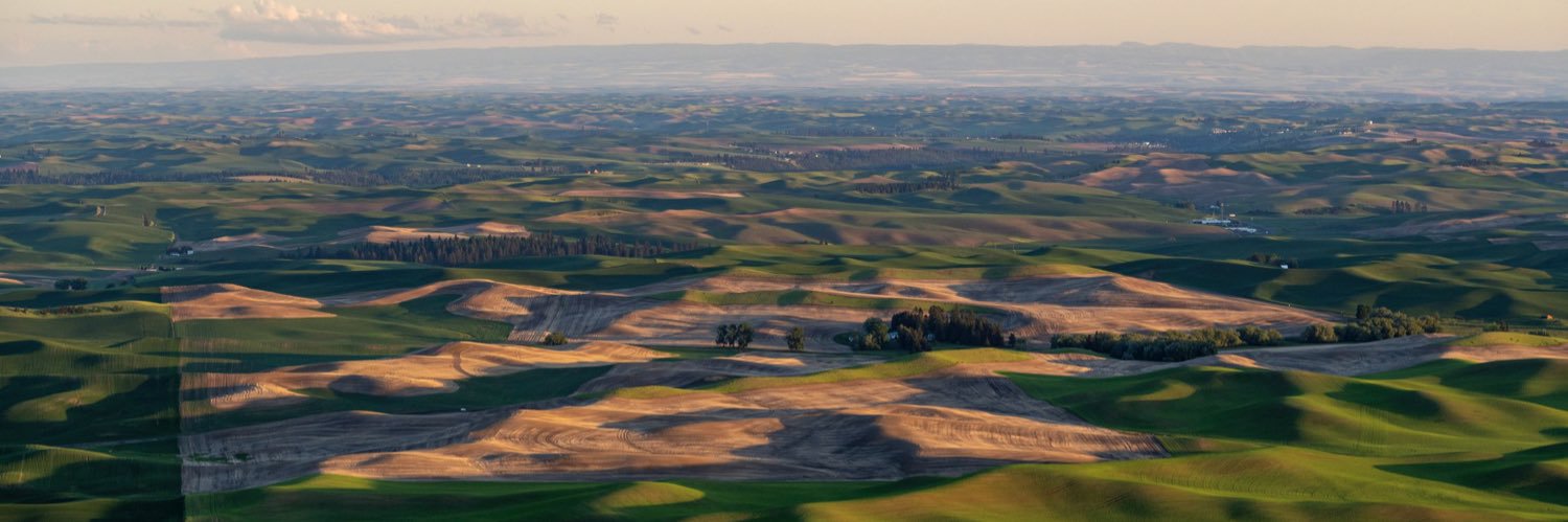 Shawn Smith, ASGCA banner