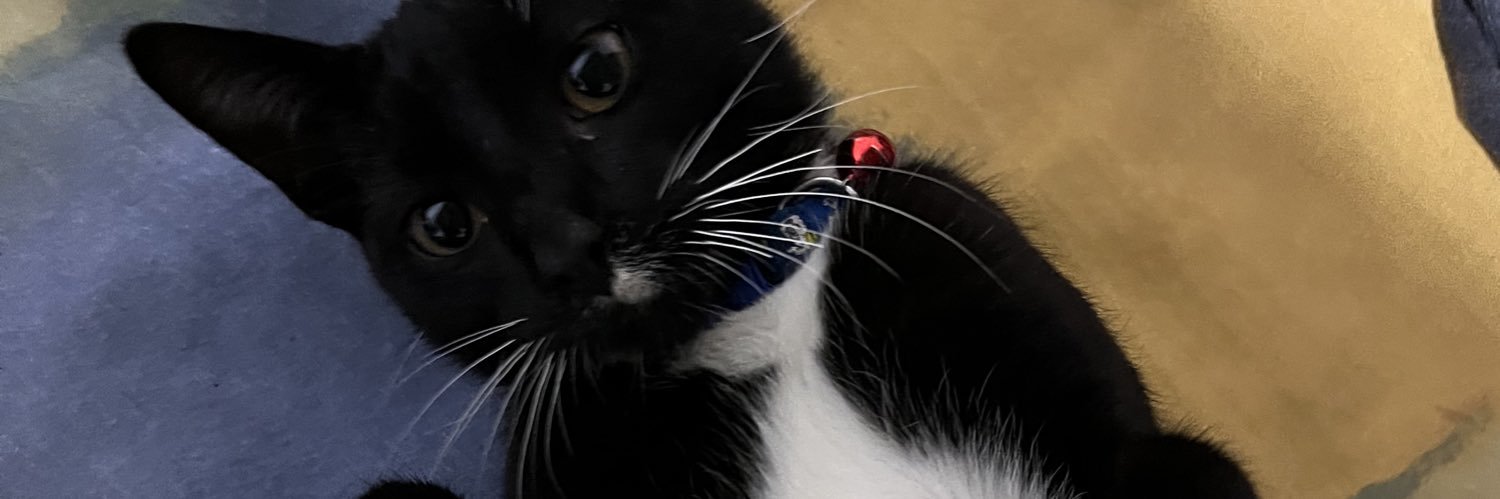 teb4nv's profile banner image