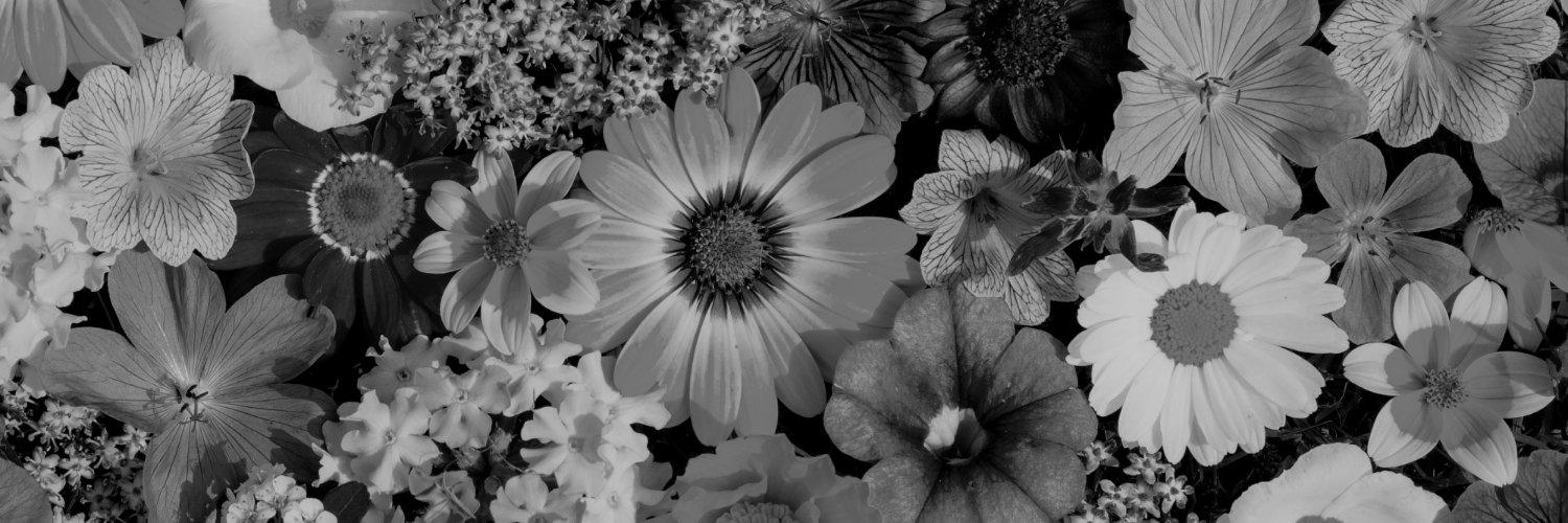 Voidchama 𔓕 banner