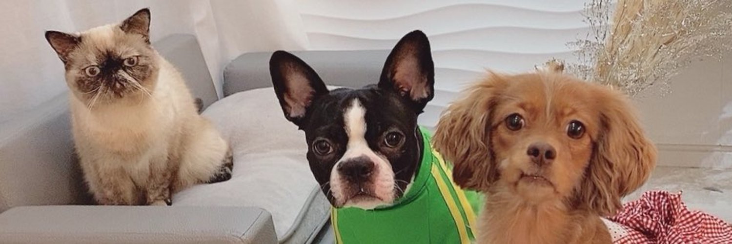 金玉洗えｗ banner