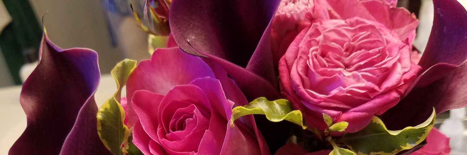 LadyLevite03's profile banner image