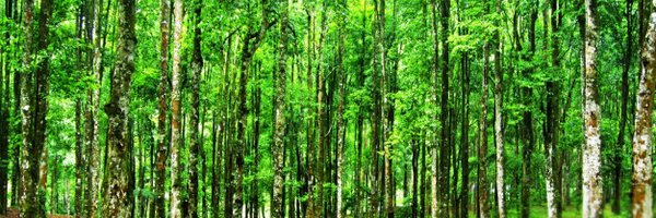 LUST_Bali Profile Banner