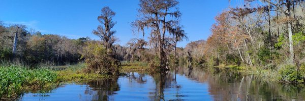 Sunshine State Biodiversity Group Profile Banner