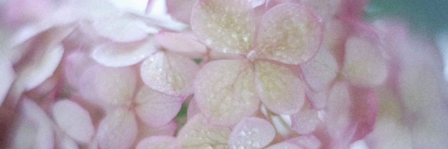 mana_3063's profile banner image