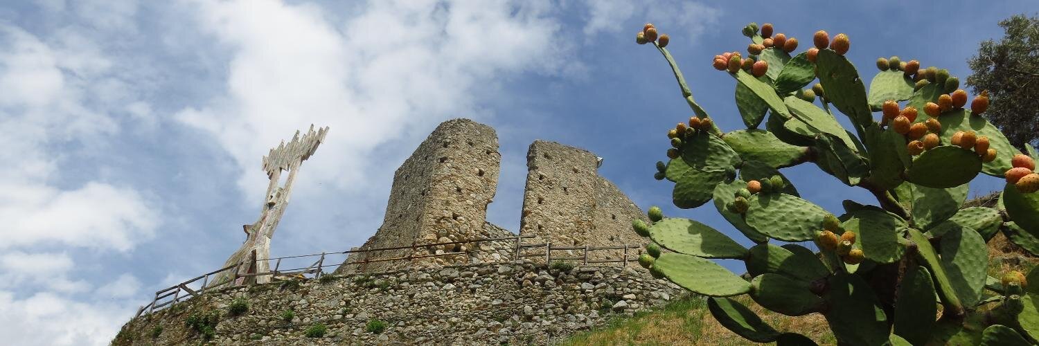 Donatella Plastino banner