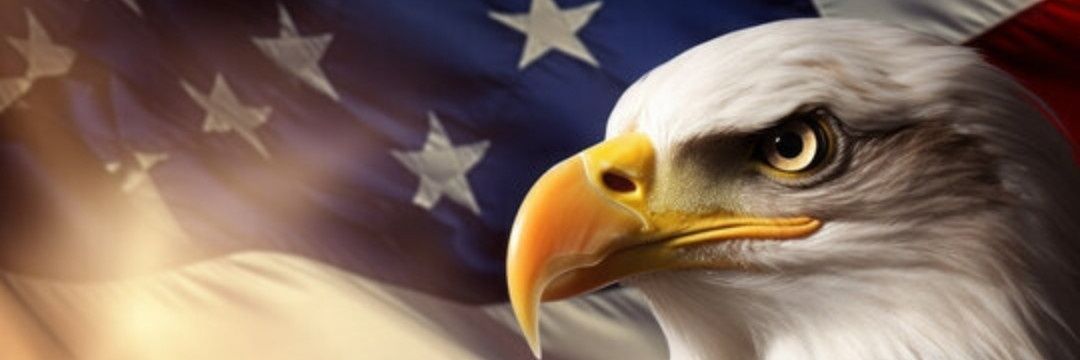 Tara 🇺🇲's banner