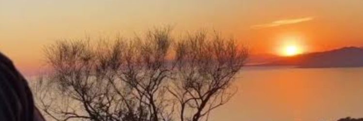 karimkhedari's profile banner image