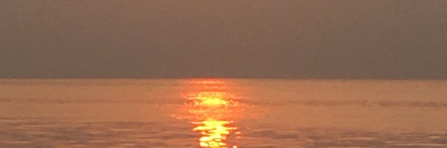 serdar banner