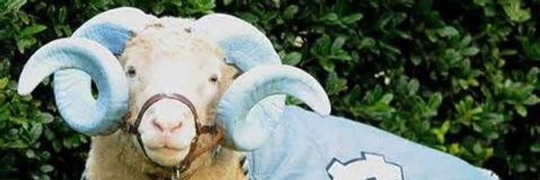 teachermandi Profile Banner