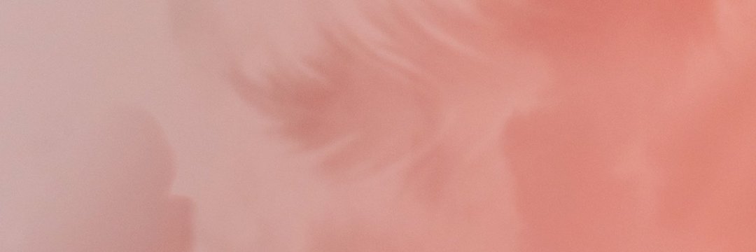 leehi_hey's profile banner image