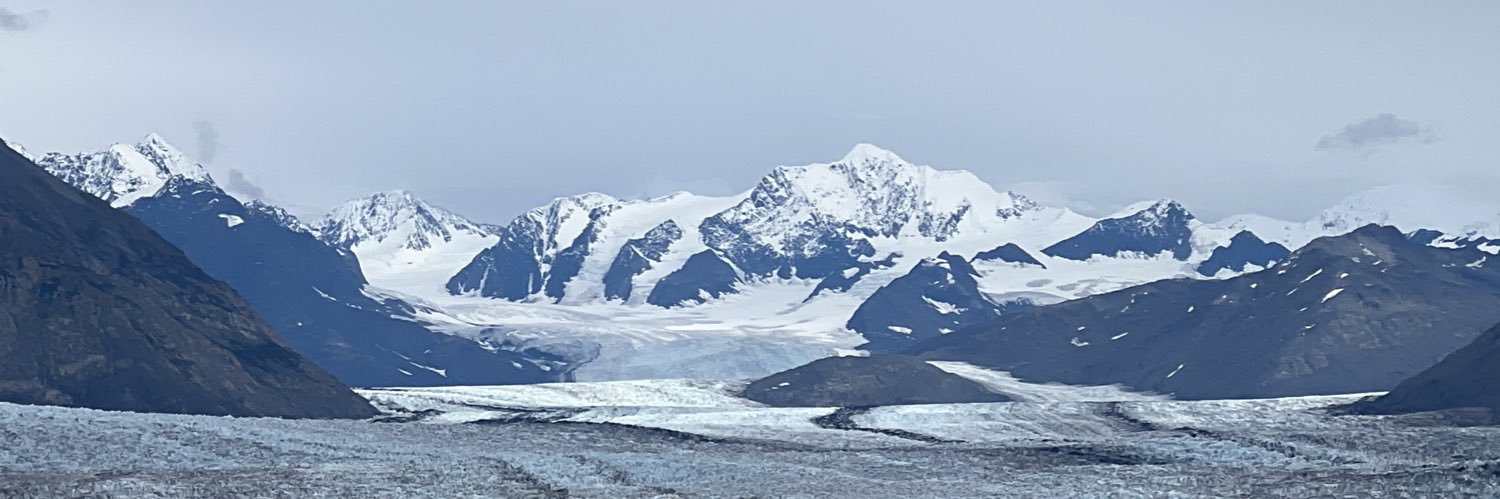 notchriskim's profile banner image