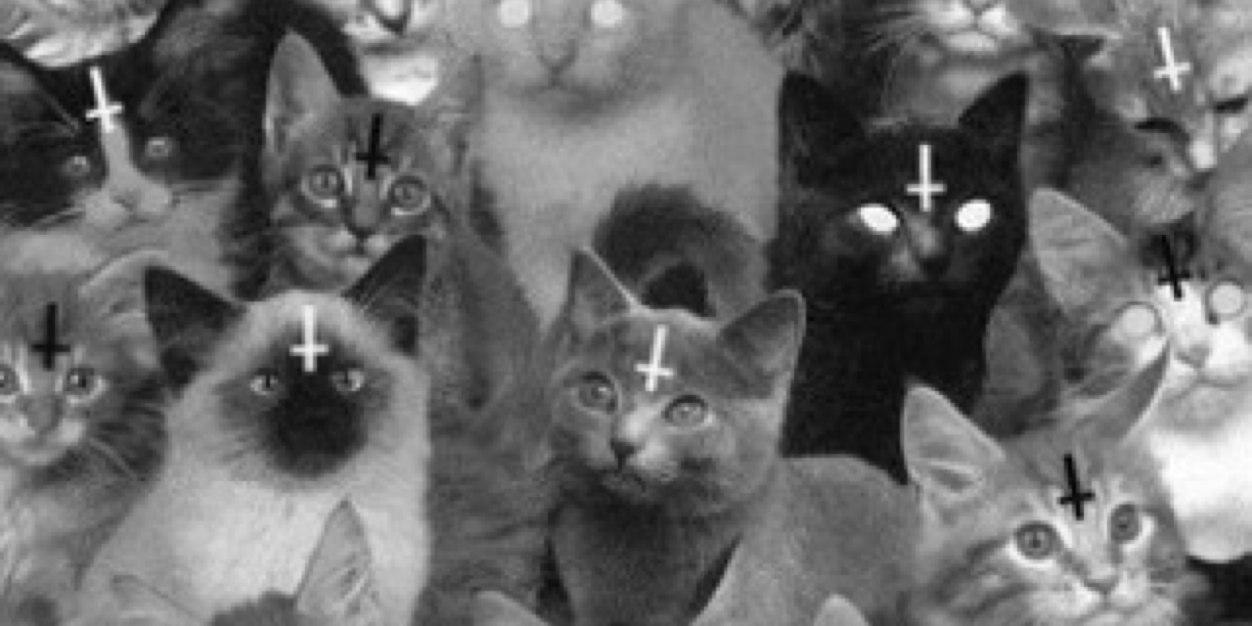 FlogaRamone's profile banner image
