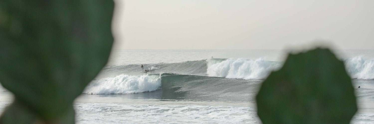 SurfguruPro's profile banner image