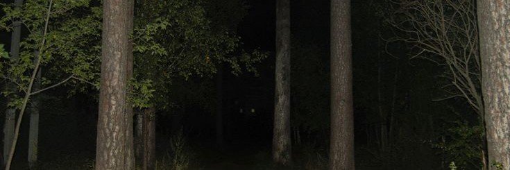 chronangelic's profile banner image