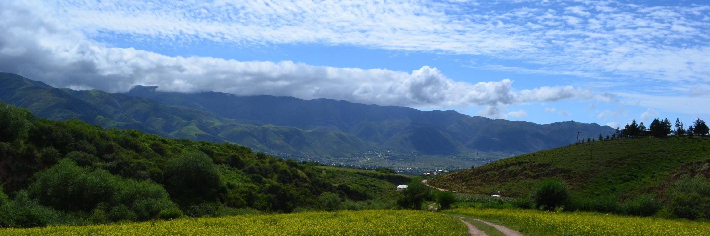 Javier Astorga banner