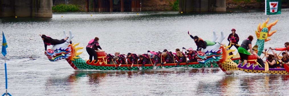 Pink Phoenix (TM) banner