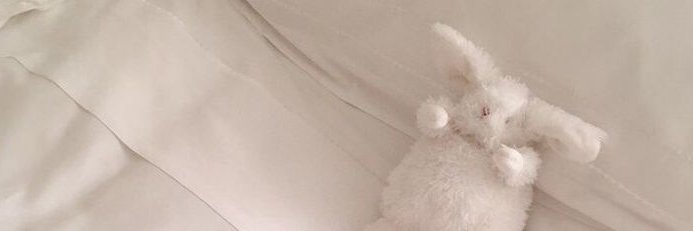 aniteile's profile banner image
