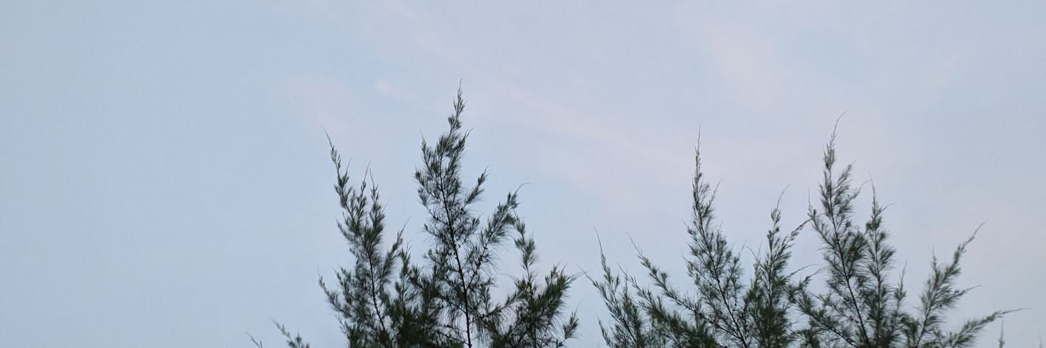 destyne_e's profile banner image