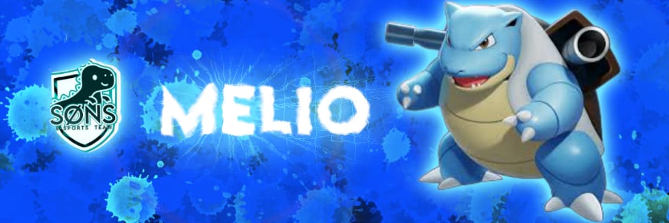 Meliolizard banner