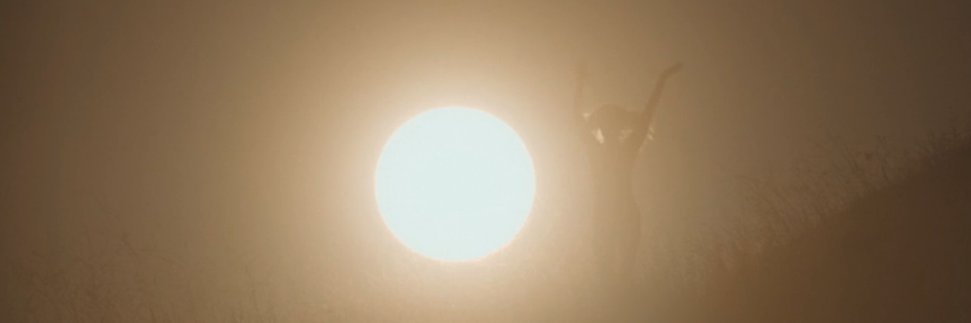 graceshen54's profile banner image