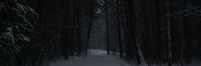 Daren 🏳️‍⚧️ banner