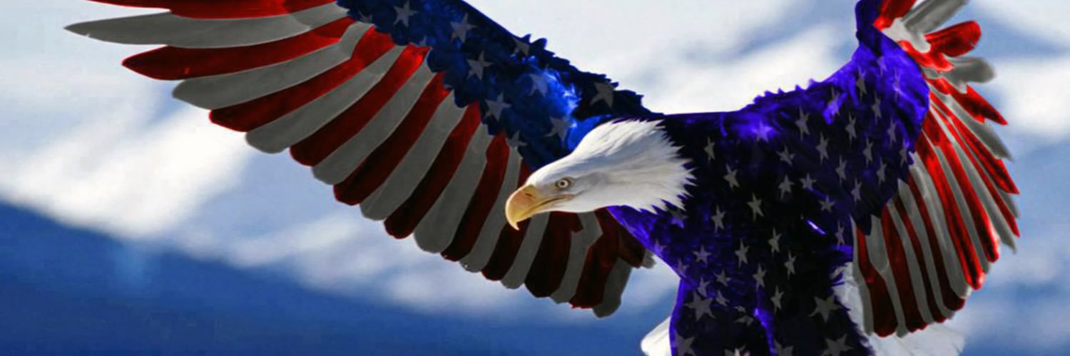 FishingFool1965 banner