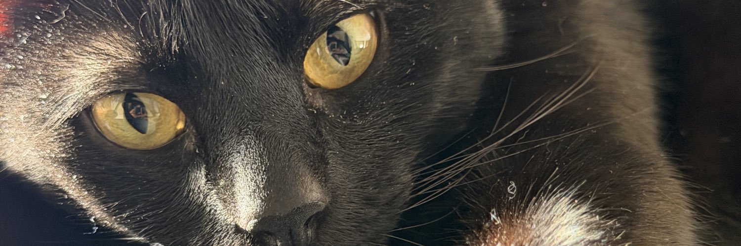 MerTerzaghi's profile banner image