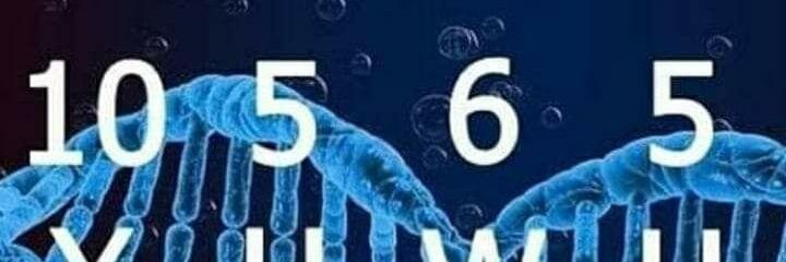 GodzAdam's profile banner image