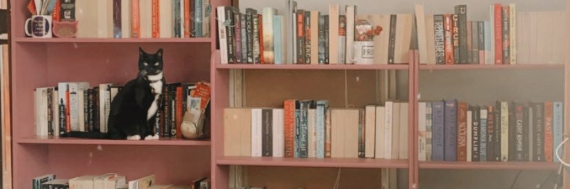 Abooktropolis's profile banner image