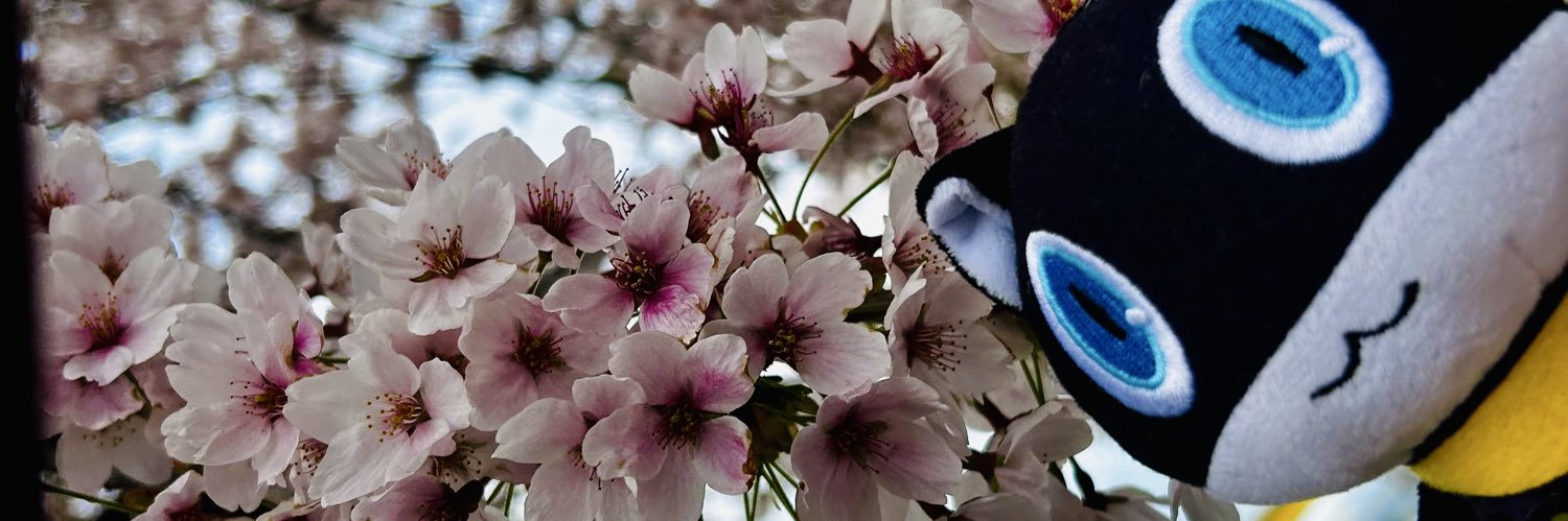 simotukiusagi_2's profile banner image