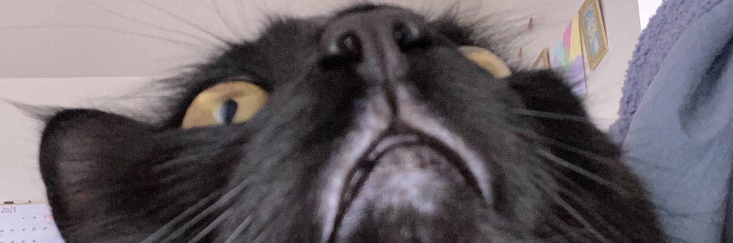 leeterah's profile banner image