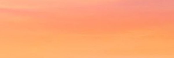 woccery Profile Banner