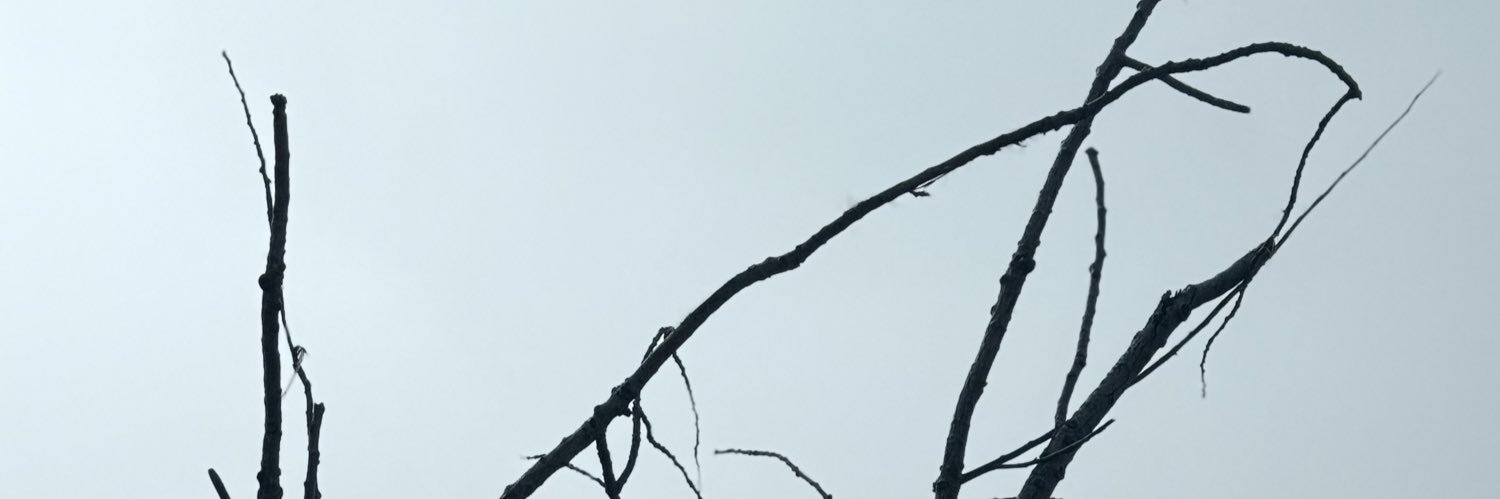 dead on the concrete's banner